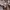 Casual Hoody Pria tan photo 6