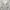 Japanese brand Vintage Maxi dress Wanita white black photo 2
