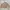 Vintage Streetwear Parka Pria tan photo 4