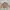 Vintage Streetwear Parka Pria tan photo 1