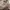 Vintage Streetwear Parka Pria tan photo 3