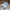 Nike Air Jordan Casual Sneakers Wanita white blue photo 2