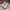 Nike Air Jordan Casual Sneakers Wanita white gray photo 2