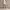 Rok Waist Cargo Skirt Light Blue photo 5