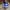 Nike Casual Sneakers Pria white blue photo 4