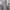 Polo Ralph Lauren Streetwear Casual Casual pants Pria gray photo 6