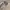 Beanpole Streetwear Casual Casual shirt Pria tan cream photo 3
