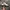 Adidas Indie Casual Sneakers Wanita white black photo 1