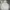 Mark Gonzales Streetwear Sportswear Hoody Pria Gray