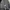 Nike Streetwear Bomber jacket Pria black gray photo 6