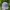 New Era Streetwear Sportswear Hat Pria gray photo 1