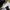 Dickies Streetwear Skater Casual pants Pria navy photo 6
