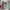 Stussy Streetwear Y2K Sweatshirt Pria multicolor photo 3
