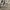 Global Work Gorpcore Windbreaker Wanita tan photo 2