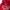 Russell Athletic Vintage Hoody Pria red photo 5