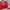 Braun Buffle Luxury Shoulder Bag Wanita Red