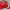 Braun Buffle Luxury Shoulder bag Wanita red photo 5
