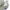 47 Brand Sportswear Casual Hat Pria white gray photo 4