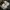 Nike Gorpcore Casual Sneakers Pria white yellow photo 6