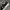 Converse Emo Casual Sneakers Wanita white black photo 5
