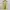 Luxury Minimalist Prom dress Wanita yellow photo 6
