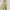 Luxury Minimalist Prom Dress Wanita Yellow
