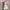 Luxury Minimalist Prom dress Wanita yellow photo 1
