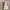 Luxury Minimalist Prom Dress Wanita Yellow