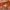 et cetera Y2K Casual Summer dress Wanita orange photo 4