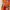 et cetera Y2K Casual Summer dress Wanita orange photo 2