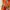 Et Cetera Y2K Casual Summer Dress Wanita Orange