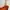 et cetera Y2K Casual Summer dress Wanita orange photo 3