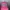 Von Dutch Streetwear Sportswear Hat Pria multicolor photo 6