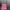 Von Dutch Streetwear Sportswear Hat Pria multicolor photo 4