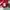 Mark Gonzales Streetwear Casual Cardigan Wanita red photo 3