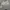 Nike Sportswear Casual Sweater Pria gray photo 2
