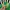 Japanese brand Vintage Streetwear Bomber jacket Pria green photo 3