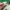 Japanese brand Vintage Streetwear Bomber jacket Pria green photo 4