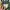 Japanese brand Vintage Streetwear Bomber jacket Pria green photo 3
