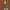 UNIF Y2K Indie Cardigan Wanita Green