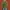 UNIF Y2K Indie Cardigan Wanita green photo 3