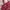 Esprit Streetwear Y2K Bags & purse Wanita red photo 2