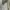 Adidas Vintage Sportswear Windbreaker Pria white photo 2