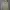 Adidas Streetwear Sportswear Track jacket Pria tan photo 1