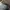Adidas Streetwear Sportswear Track jacket Pria tan photo 2