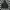 Adidas Vintage Sportswear Hoody Pria white black photo 2