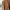 Vintage Casual Trench coat Pria brown photo 1