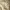 Eiger Casual Tracksuit Pria tan cream photo 4