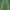 Luxury Minimalist Wanita multicolor photo 4