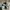 VANS Skater Casual Sneakers Pria white black photo 6